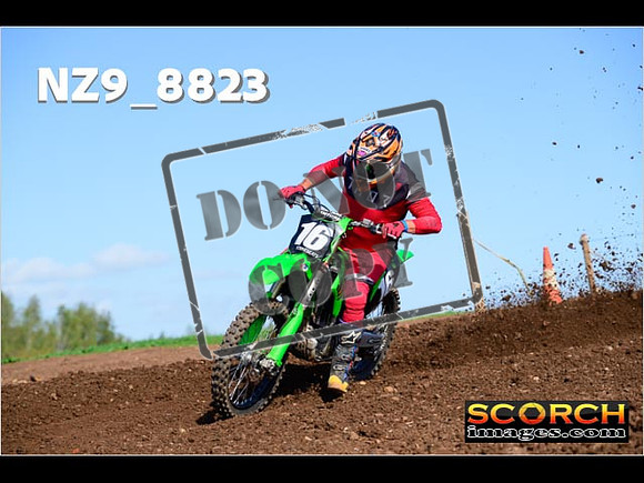 Inters-431