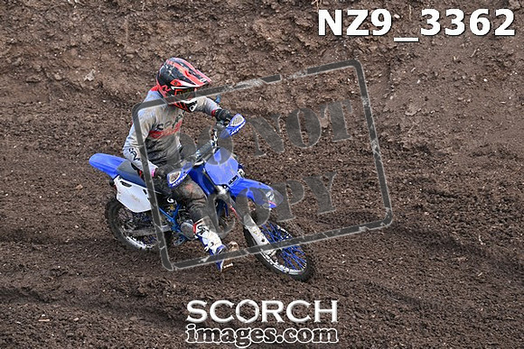 NZ9_3362