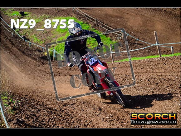 Experts-256