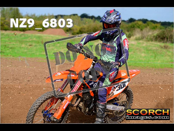 Experts-299