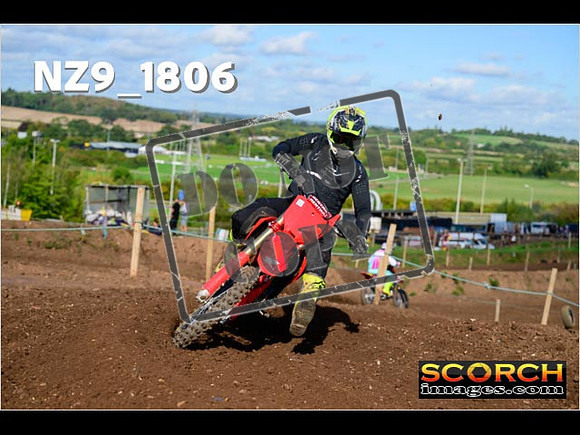 Experts-230