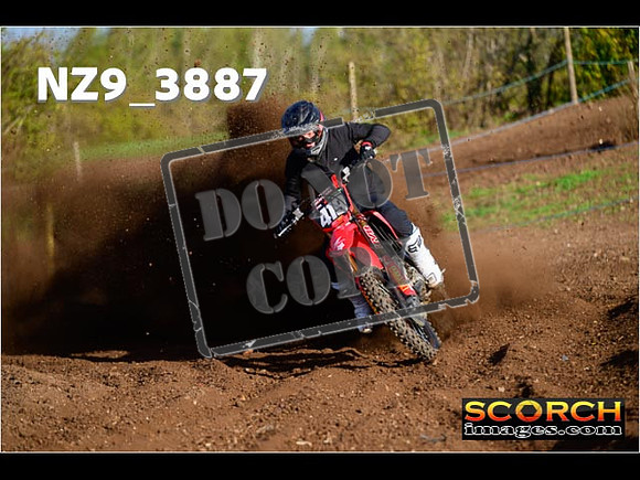Experts-033