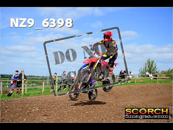 Experts-230