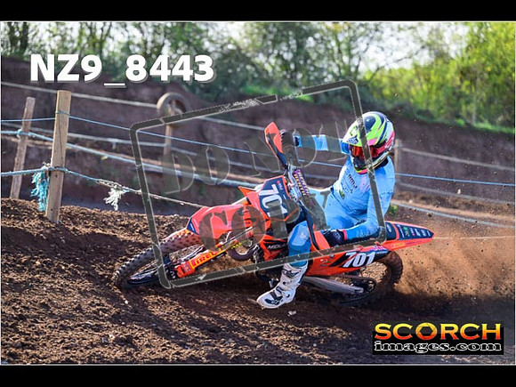 Experts-204