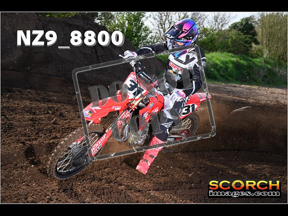 Experts-045