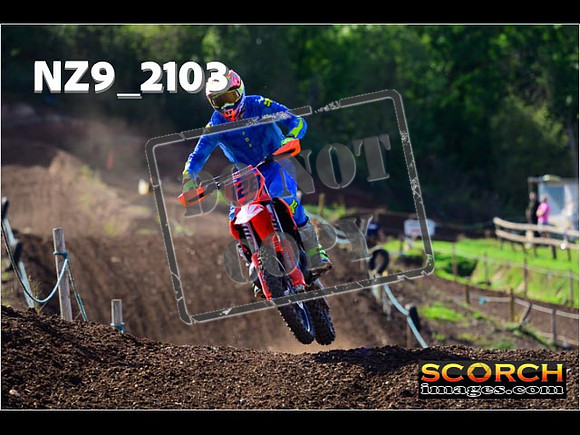 Experts-238