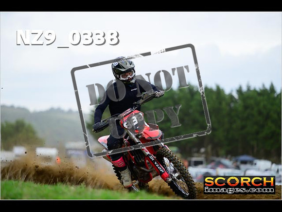Experts-289