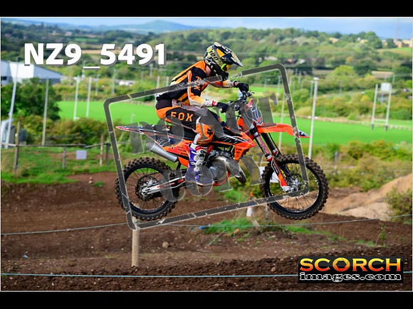 Experts-050