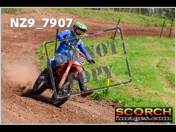 Lower Drayton Vets-37