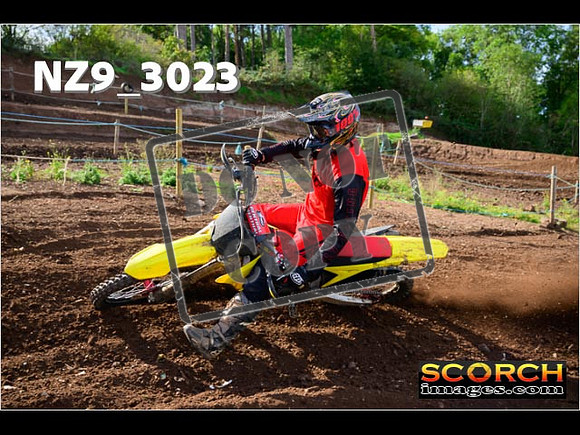 Experts-217