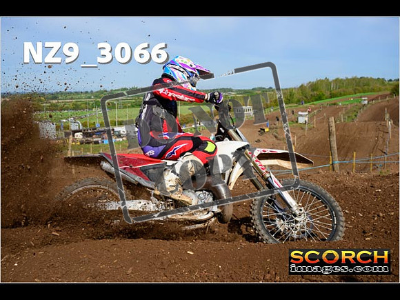 Experts-258