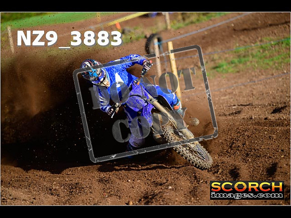 Experts-029