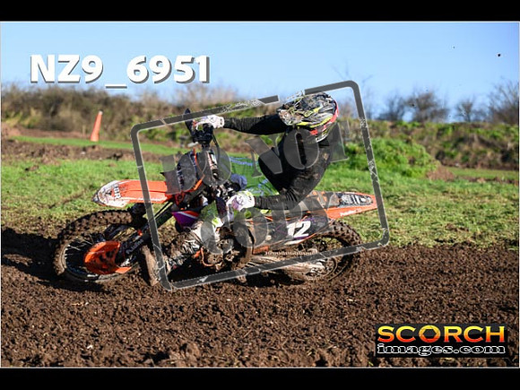 Experts-150