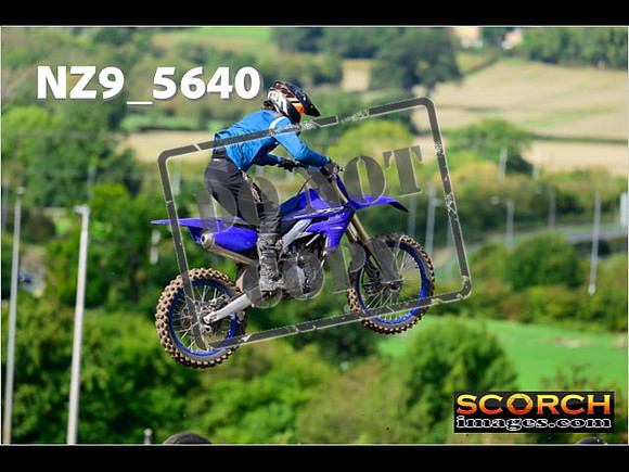 Inters-293