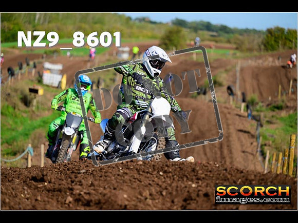 Inters-313