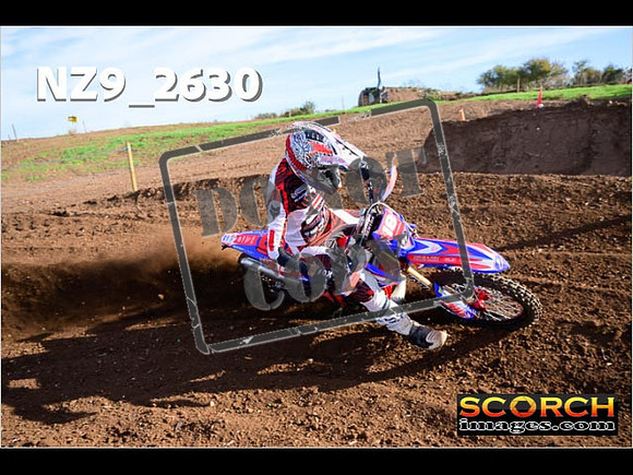 Experts-082