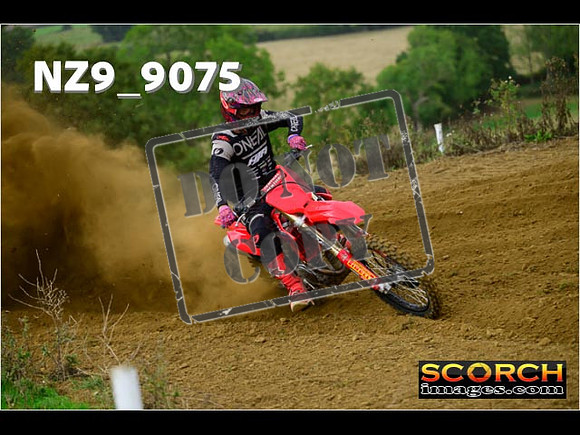Experts-118