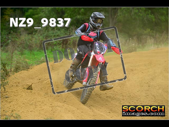 Experts-256