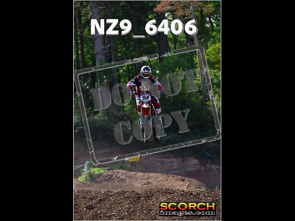 Experts-238