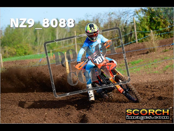 Experts-082
