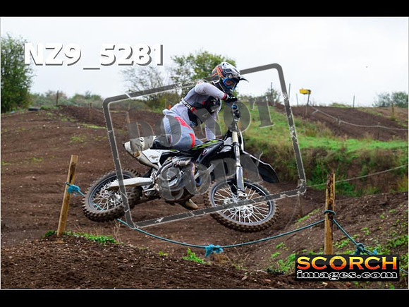 Experts-031