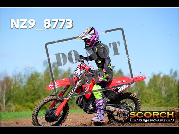Experts-274