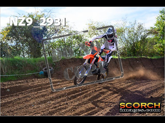 Experts-133