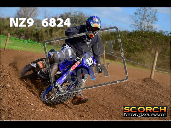 Experts-319