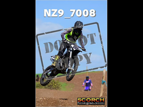 IntersGreen-251