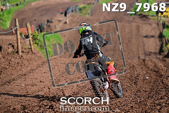 NZ9_7968