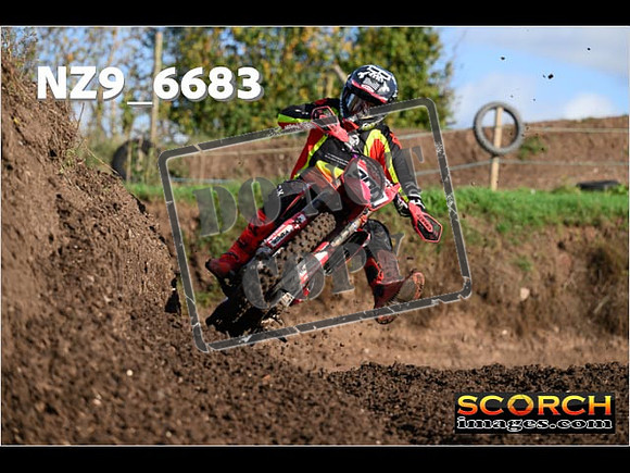 Experts-079