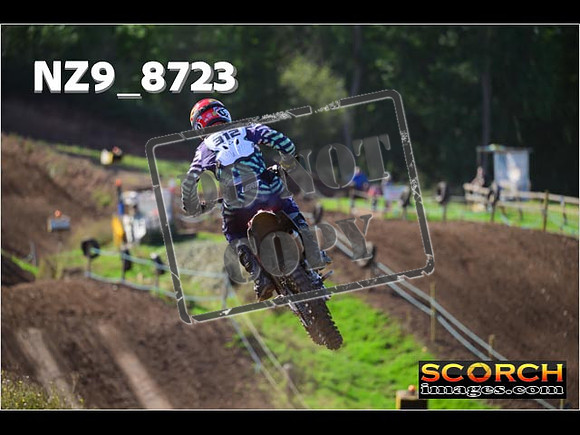 Experts-225