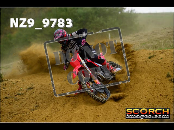 Experts-205