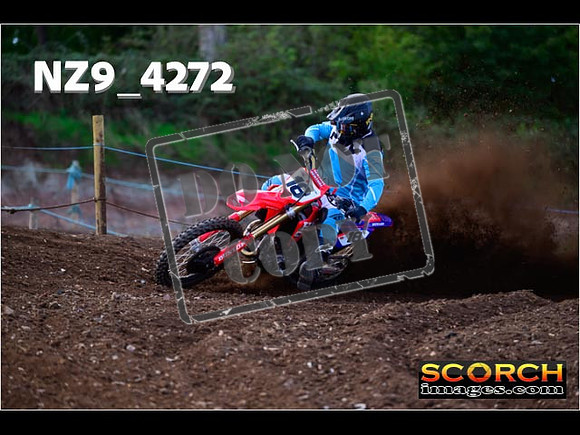 Experts-134