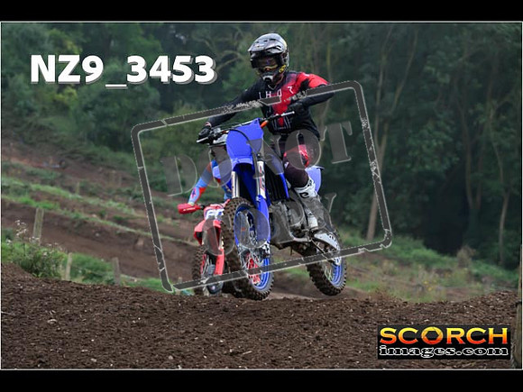 Experts-110
