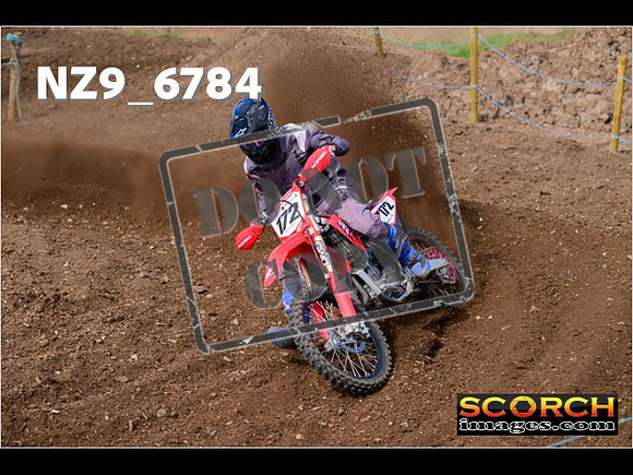 Experts-281