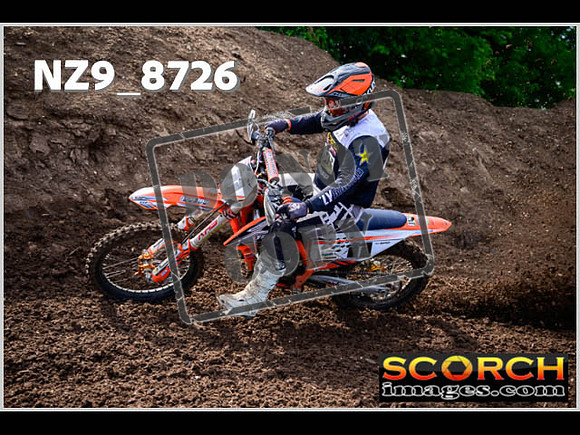 Experts-069