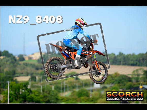 Experts-170