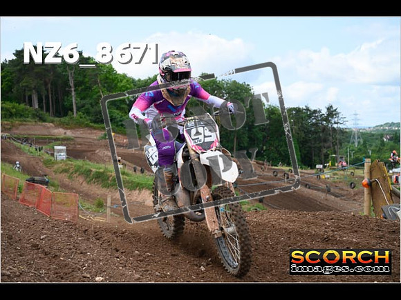 Experts-082