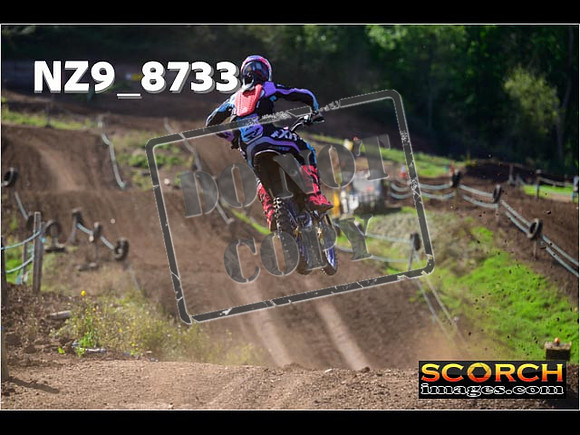 Experts-235