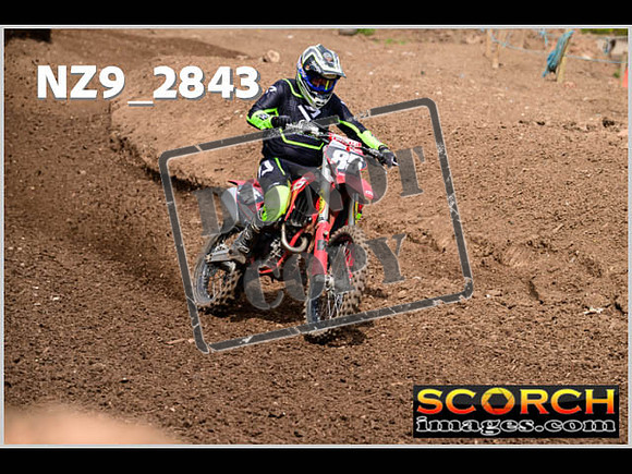 Apex Sun 28-May Experts-231