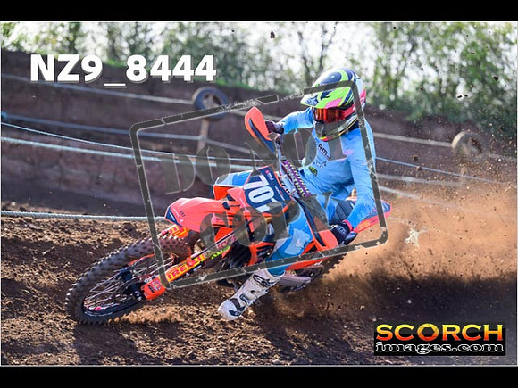 Experts-205
