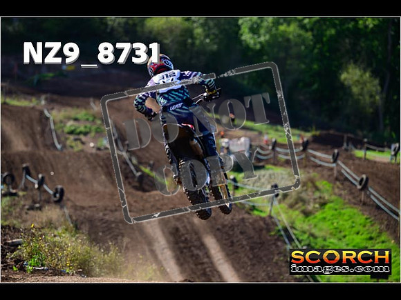 Experts-233