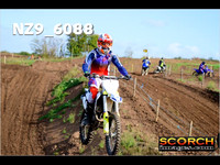 IntersGreen-013