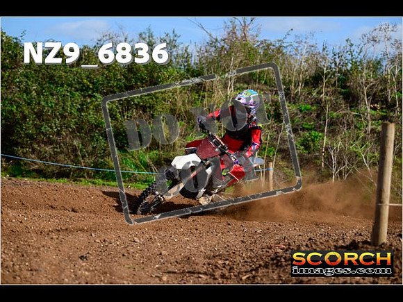 Experts-331