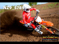 Experts-019