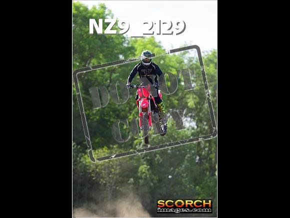 Experts-263