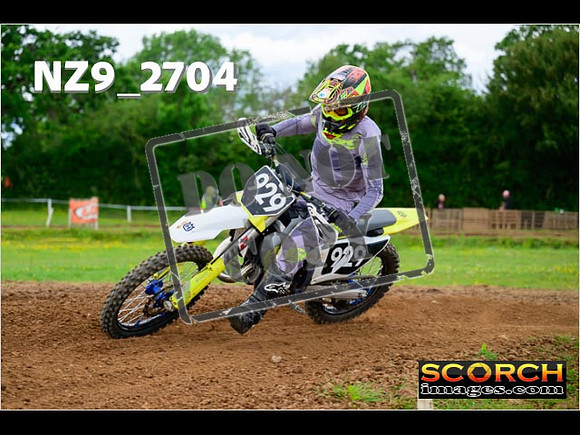 Novice-293