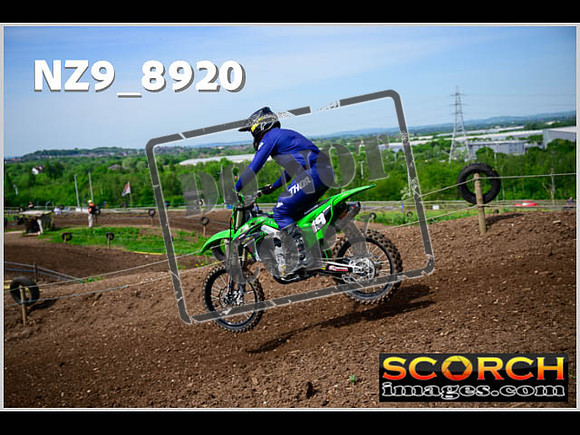 Intermediate Green-048