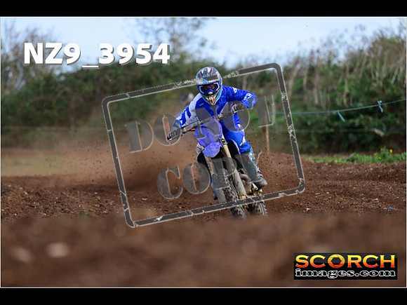 Experts-098